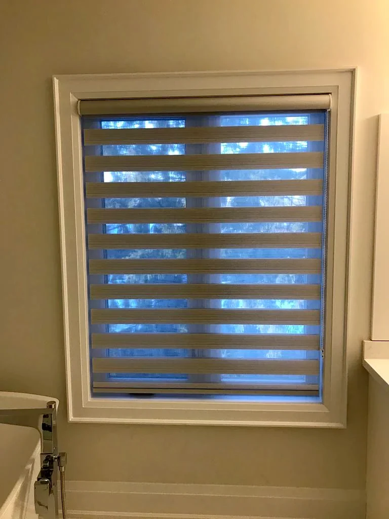 A zebra shade mounted inside a window frame